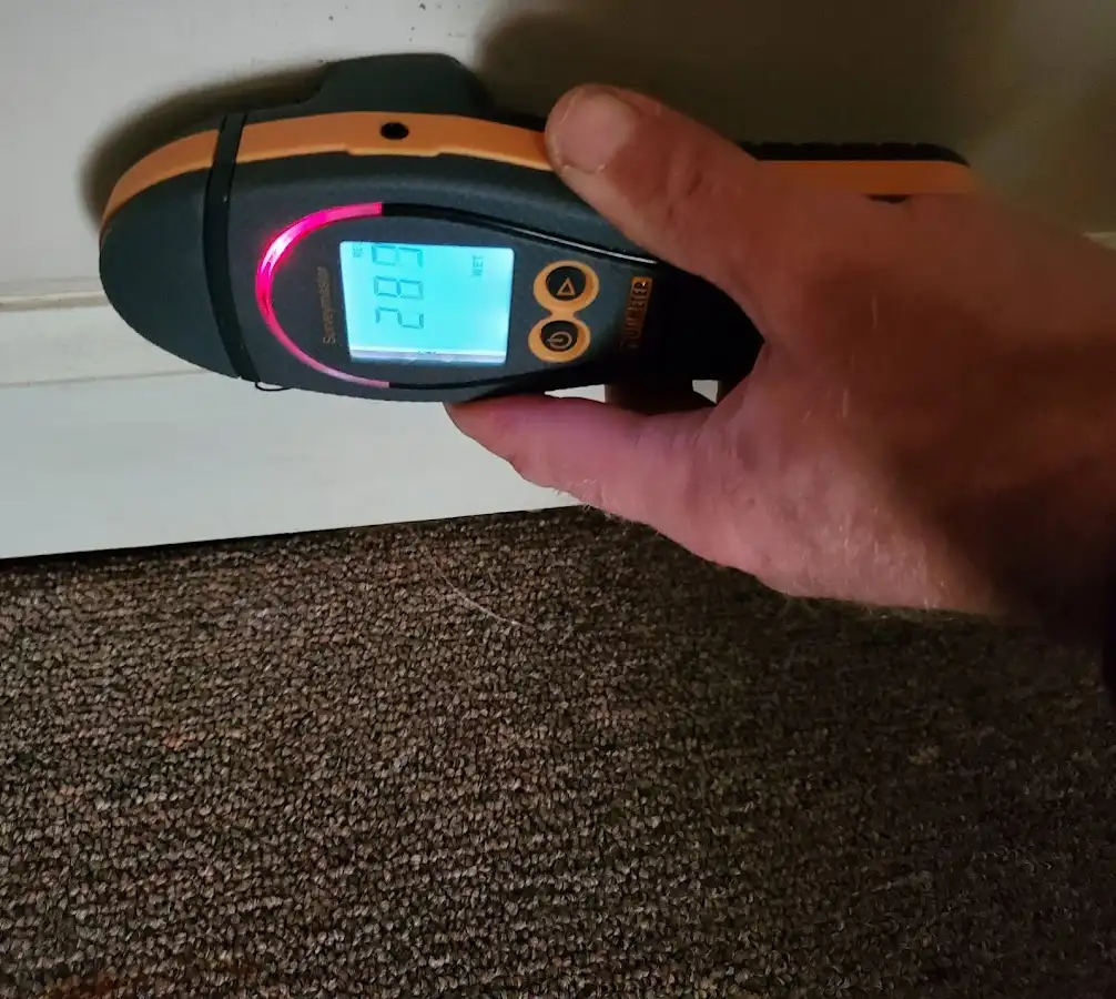 Moisture detection at baseboard during Mold Inspection & Testing in Tomball